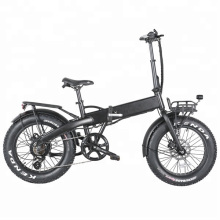 20 Inch Mini Cheap Folding Fat Tire Electric Bike 250W with Most Affordable Price